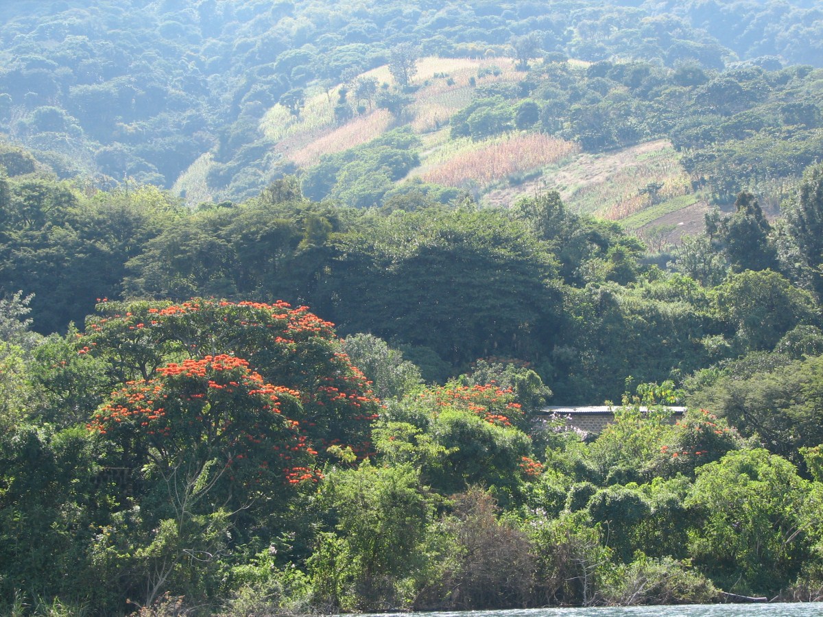 slideshow image